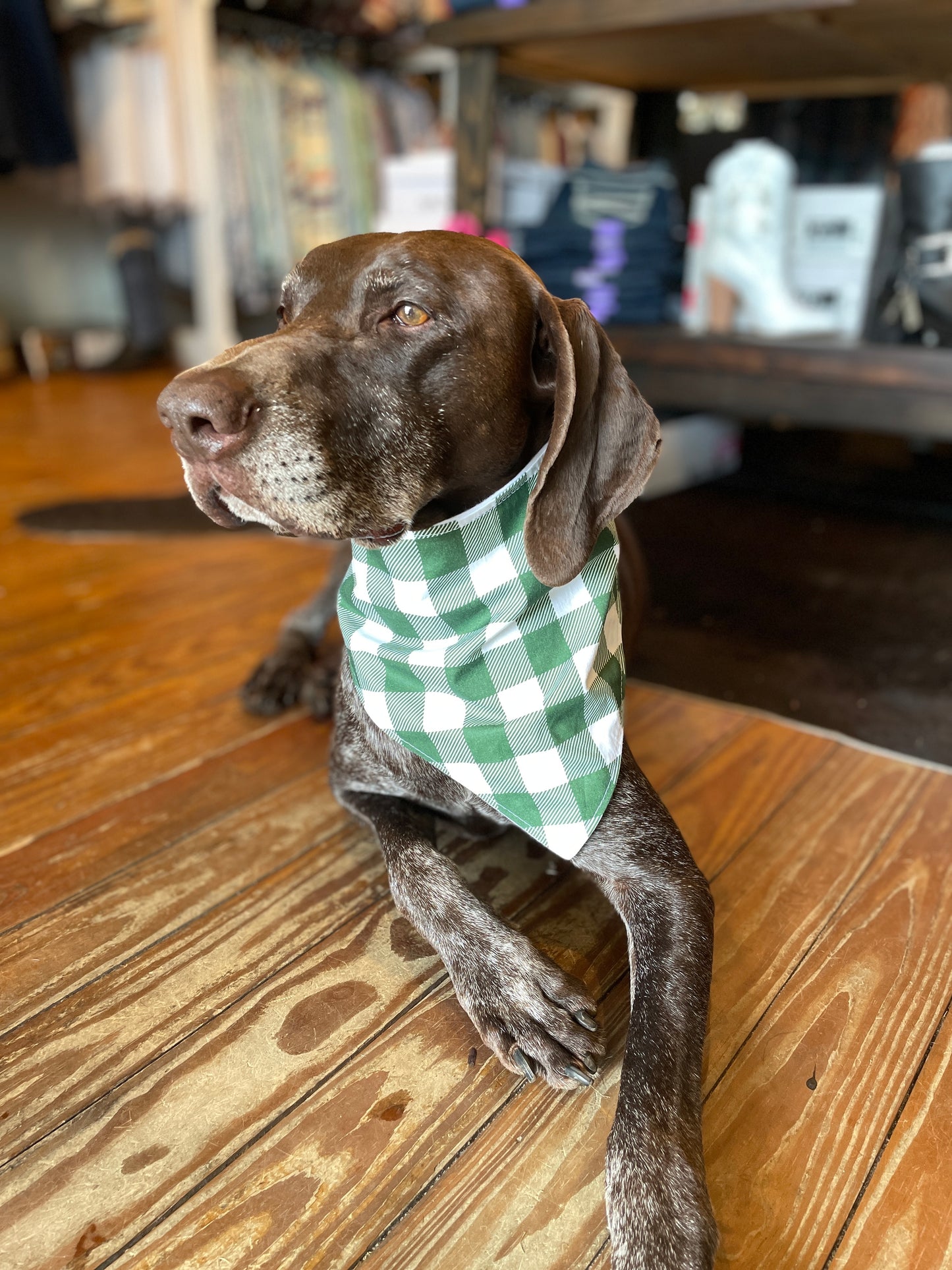 Green Buffalo Checkered Bandana