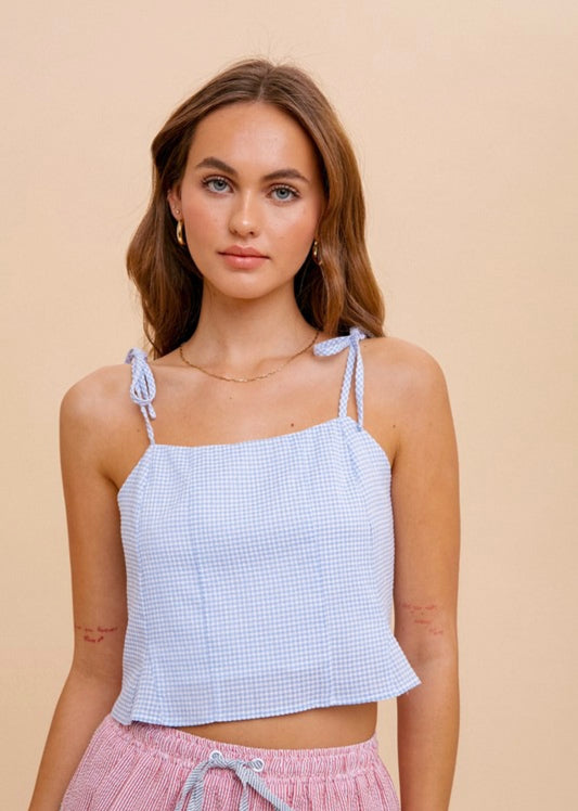 Light Blue Gingham Fit & Flare Top