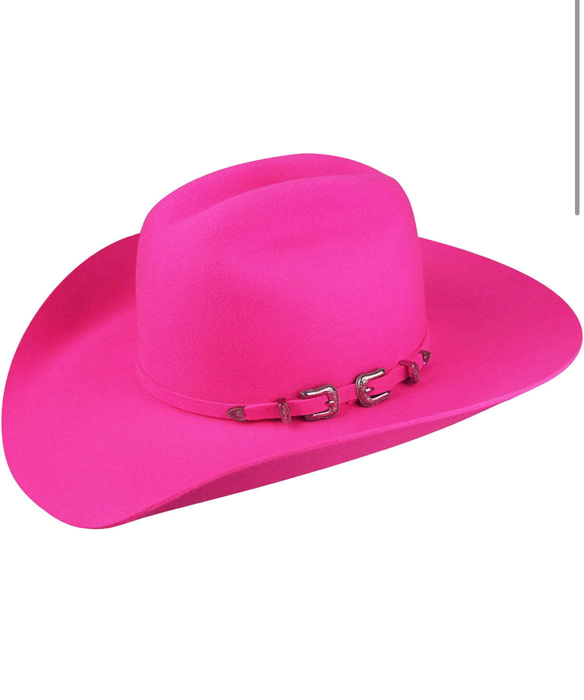 Bailey Punchy Pink Felt Hat