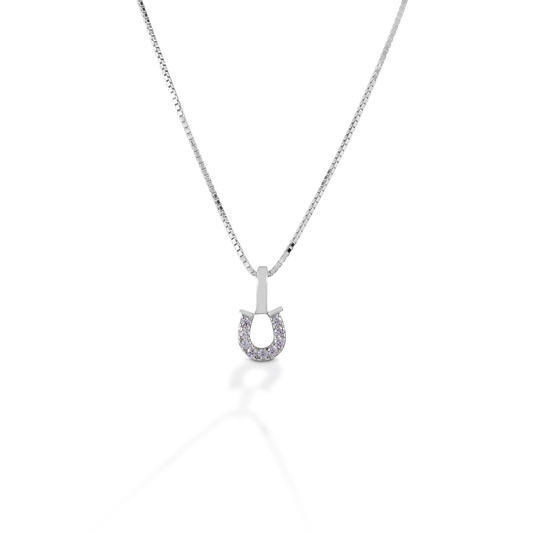 Clear Horseshoe Necklace