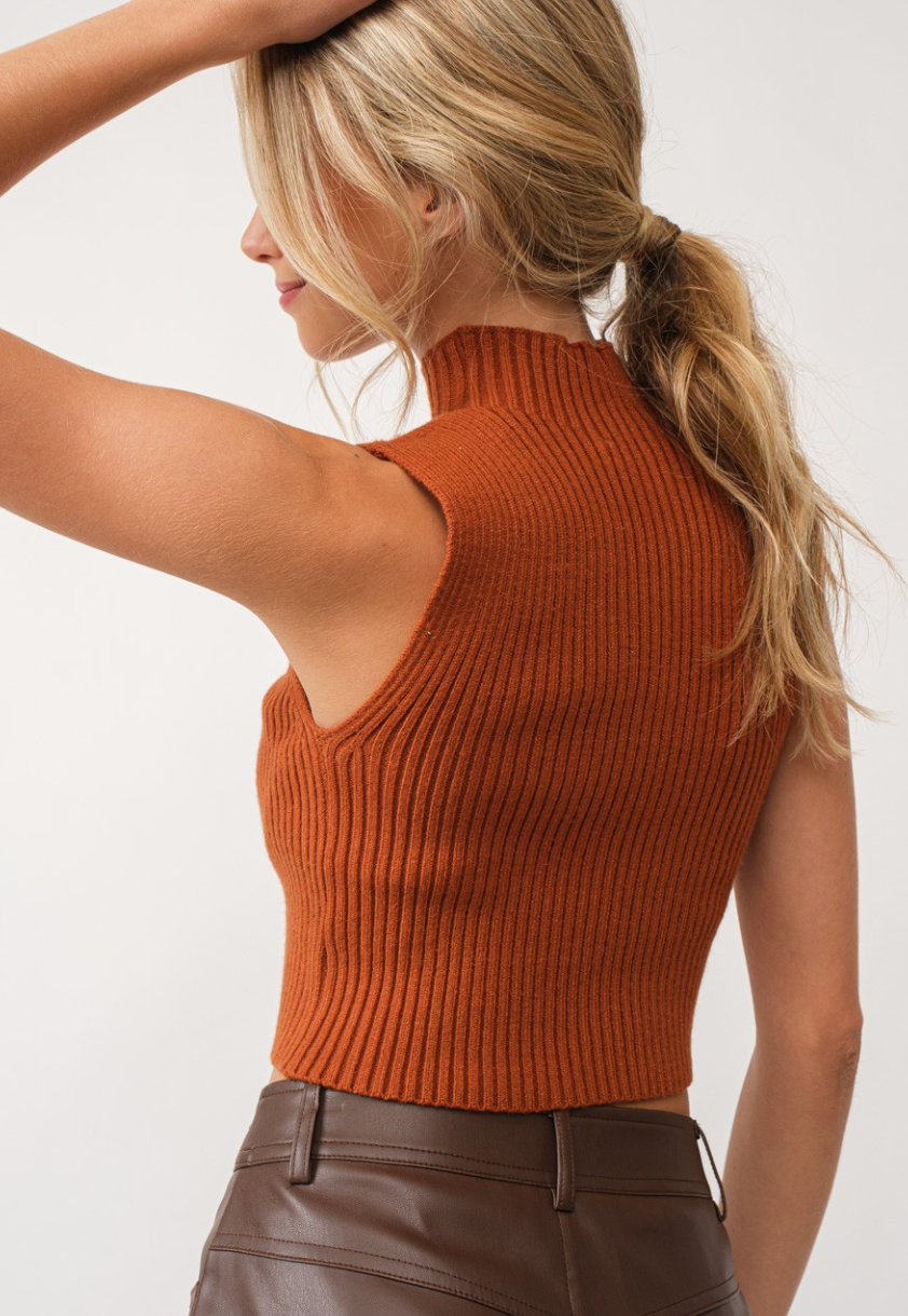 Cinnamon Ribbed Knit Sweater